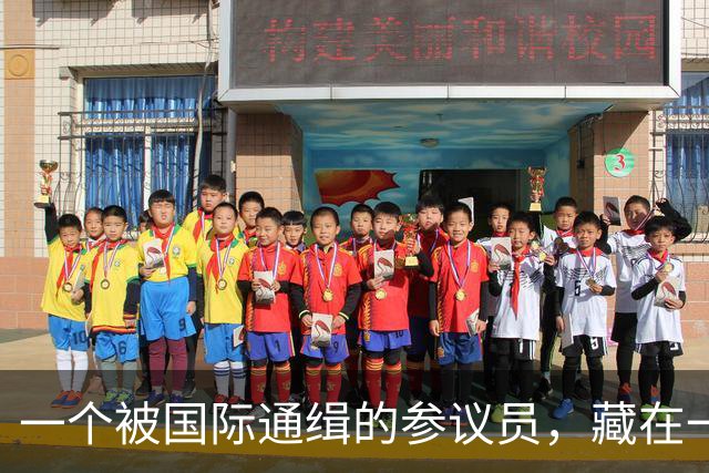 一个被国际通缉的参议员，藏在一个政府不敢去抓的地方